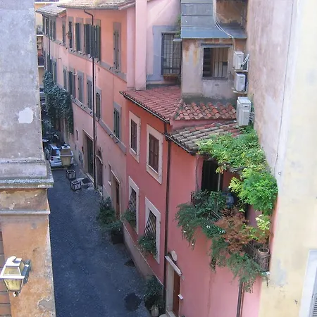 Mgpgroup Have A Day Roma